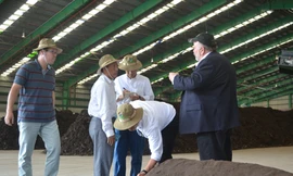 Tập trung rác để phát điện, sản xuất phân compost tạm ngưng