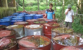 Tặng bằng khen cho người tố giác vụ chôn thuốc trừ sâu