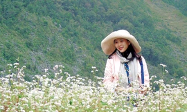 Tam giác mạch níu chân du khách đến Hà Giang.