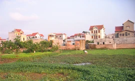 Luật Đất đai (sửa đổi) sẽ được đưa ra lấy ý kiến nhân dân vào đầu năm 2013. Ảnh: N.T