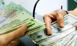 USD ế, tiền đồng lên ngôi