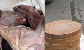 Cầy hương và thớt nghiến bị cơ quan chức năng phát hiện trên xe khách từ Hà Nội lên Lạng Sơn sáng 29-3