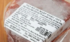 Thịt bò Úc nhập khẩu rẻ hơn thị bò Việt Nam