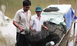 Kỳ tích chàng trai mù hằng ngày bơi xuồng, lội sông bắt cá