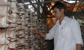 'Đầu ra' ở các trung tâm dạy nghề