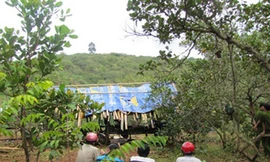 Cha lẻn vào chòi vung dao giết con lúc nửa đêm