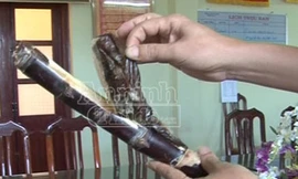 Quái chiêu: Mía...thuốc phiện