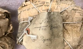 20 gói giấy báo kèm ghi chú bằng bút chì là những báu vật cổ sinh vật học thực sự - Ảnh: Clive Coy