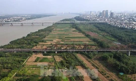 Hà Nội 'siết' thu tiền đất, xử nghiêm trường hợp chây ỳ làm hồ sơ thuê đất