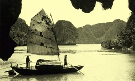 Miễn vé tham quan vịnh Hạ Long bốn ngày