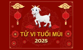 TỬ VI TUỔI MÙI 2025: Tam Tai kìm hãm, khó khăn tứ bề