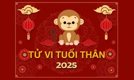 TỬ VI TUỔI THÂN 2025: Tốt xấu đan xen, trong nguy có cơ