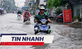 TIN NHANH: Bà Nguyễn Phương Hằng ra tù sớm; 3 điều nguy hiểm của bão số 4