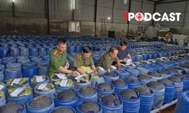 NÓNG 19/4: Bắt 4 chủ cơ sở ngâm giá đỗ bằng hóa chất 'nước kẹo', đã bán 3.500 tấn