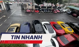 TIN NHANH: Thông tin về dịch bệnh lạ; Xe và vàng của 'Mr Pips' được xử lý ra sao?