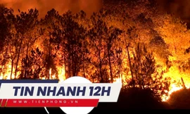 TIN NHANH 12H: Hơn 3.000 người vật lộn với cháy rừng cả đêm; Nguy cơ đình công kép ở Hollywood