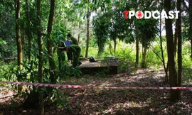 ĐIỂM TIN 11/10: Thi thể gần nghĩa trang là bé gái khoảng 2-4 tuổi; Giáo viên bị tố xâm hại nhiều nữ sinh