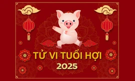 TỬ VI TUỔI HỢI 2025: Cách vượt qua hạn Tam Tai và Thái Tuế vây hãm