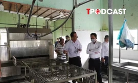 NÓNG 2/6: Liên quan vụ C.P.: Hình ảnh heo bị bệnh là thật, nhưng chụp để báo cáo tiêu hủy