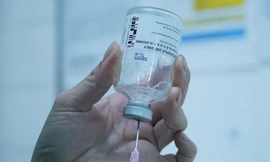 TIN NHANH 12H: Hỏa tốc đưa giải độc Botulinum đến 3 bệnh viện; Điều tra nghi án giết người phân xác