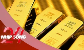 NHỊP SỐNG 24: Vì sao giá vàng bất ngờ lao dốc trái với mọi dự báo? 