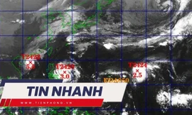 TIN NHANH: Biển Đông đón 3 cơn bão liên tiếp; Mang xăng đến nhà người khác tự thiêu