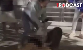 NÓNG 3/1: Luật sư nói về vụ đánh ghen, lột đồ nữ nhân viên ngân hàng ở Cần Thơ