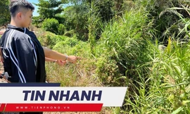 TIN NHANH: Kết luận vụ giết người, phân xác ở TPHCM ngày cận Tết; Chỉ còn 2 năm để cứu trái đất