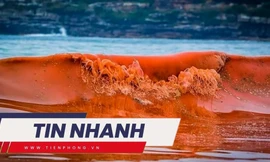 TIN NHANH: 'Thủy triều đỏ' xuất hiện tại Kiên Giang, cảnh báo nguy hiểm