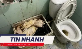 TIN NHANH: Làm rõ việc quán ăn dùng vịt có giòi, để cạnh bồn cầu