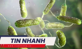 TIN NHANH: Người có lương hưu cao nhất năm 2022 là 140 triệu; 5 người chết vì vi khuẩn ăn thịt người