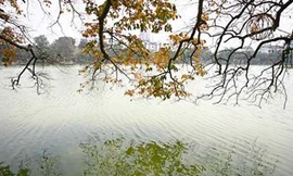 Ảnh minh họa. Nguồn: Internet