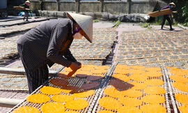 Lạ mắt với bánh đa vừng sắc màu ở Nghệ An