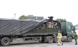 Thu giữ hơn 480 tấn đá thạch anh khai thác trái phép