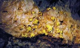 Nhiều dự án vừa bị chấm dứt hoạt động ở Nghệ An 