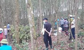 Phát hiện người đàn ông chết trong rừng keo sau 5 ngày mất tích