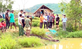 Ảnh minh họa
