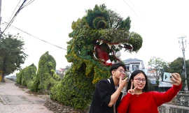 Bất ngờ diện mạo mới của cặp rồng xanh ở Vinh sau 'thẩm mỹ'