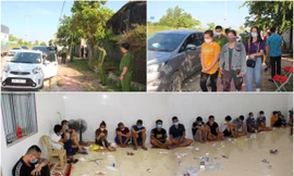 Hàng chục cảnh sát hình sự đột kích trại gà và quán cà phê 