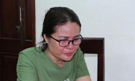 Nữ luật sư rởm lừa 'chạy án', chiếm đoạt tiền tỷ