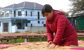 Người dân làng nghề làm hương ‘chạy hết công suất’ cho Tết