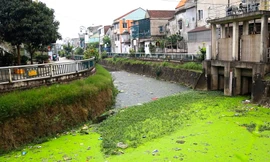 Con kênh bao quanh thành cổ Vinh đen đặc, bốc mùi: Đơn vị quản lý nói gì?