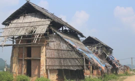 Ngổn ngang hàng trăm lò ngói bỏ hoang ở Nghệ An