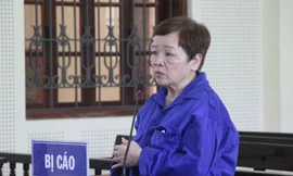 Người phụ nữ 76 tuổi giấu ma túy trong tủ quần áo lĩnh án