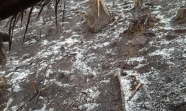 Mưa đá trắng xóa ở xã miền núi Nghệ An