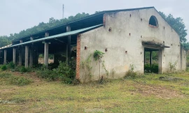 Chợ tiền tỷ xây 8 năm chưa xong đối mặt nguy cơ bị 'khai tử'