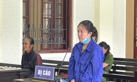 Tuyên án nữ quái lừa ‘chạy án’, chiếm đoạt gần nửa tỷ đồng