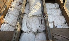 Chế hầm bí mật, vận chuyển trái phép hơn 4,5 tấn gỗ trắc và vảy tê tê