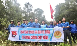 Tuổi trẻ Nghệ An chung tay, góp sức phòng cháy chữa cháy rừng
