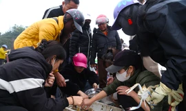 Nhộn nhịp cảnh mua bán hải sản ở bãi biển lúc rạng đông